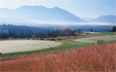 Golf Tournament at Snoqualmie Ridge