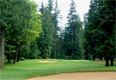 Golf Tournament at Sahalee